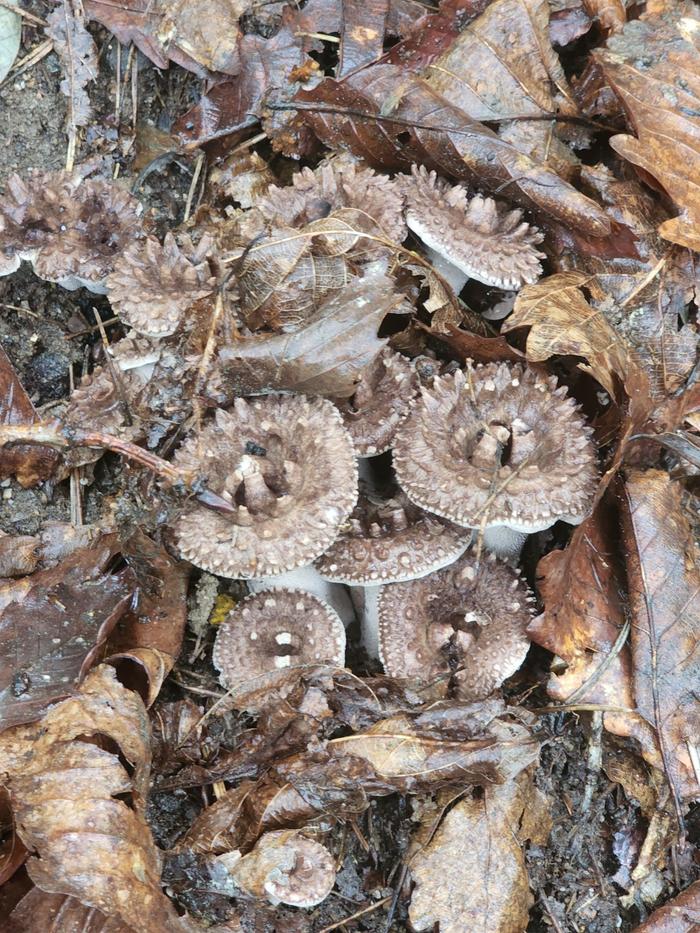 235149625_Vo03YTlR_eab01001aa748faf041aa11cc3f45756a95d6646.jpg 이미지크게보기